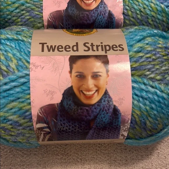 Lion Brand Tweed Stripes Yarn • Lakeside • Lot of 10 - Picture 3 of 8